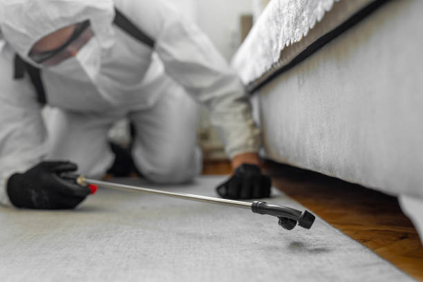 Professional Termite Control technician working in Perry, FL