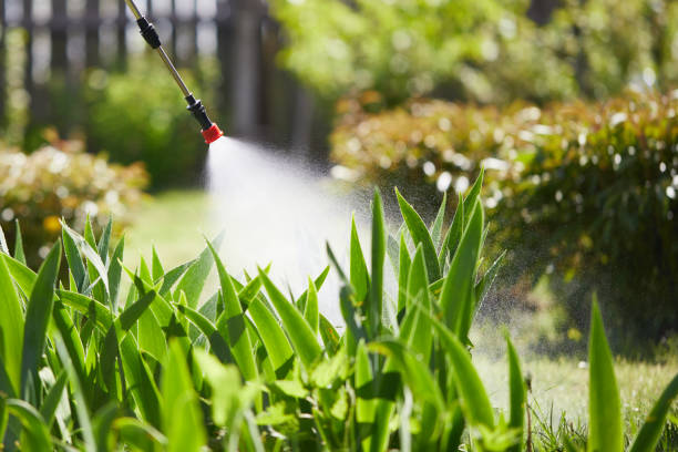 24/7 Emergency Termite Control experts in Perry, FL