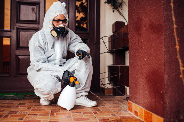 Reliable Termite Control contractor in Perry, FL by Nex Pest Control