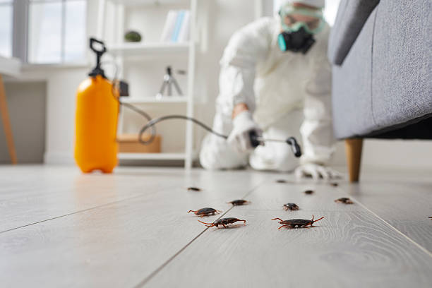 Affordable Termite Control solutions in Perry, FL